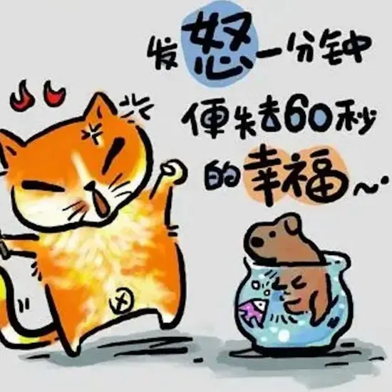 音乐节目《歌声传奇》